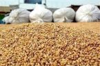 کشف ۴۸ تن خوراک دام قاچاق در چرداول