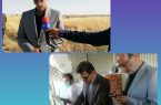 پیش بینی خرید بیش از ۱۷۰ هزار تن گندم از کشاورزان استان ایلام