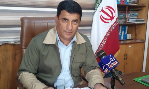 هزار و ۹۳۱ تن چوب در اراضی کشاورزی شهرستان دهلران برداشت شد