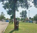 پارک شقایق دهلران را قیچی نکنید؛ مطالبه مردم برای حفظ فضای سبز